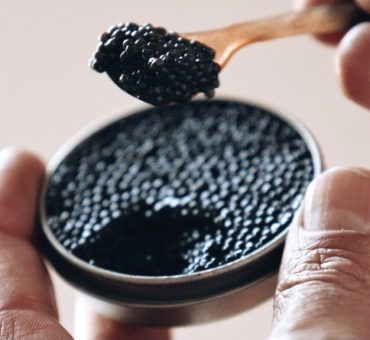 Focus sur le caviar d’Aquitaine