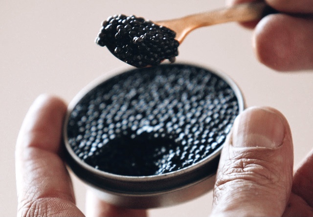 Focus sur le caviar d’Aquitaine