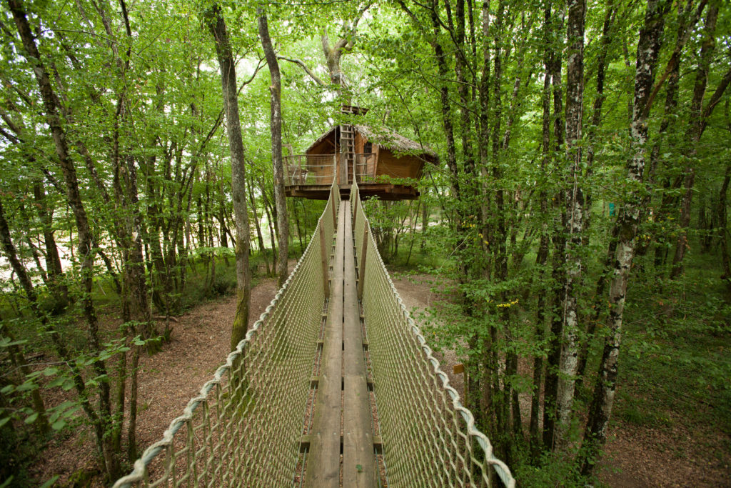 Chemin suspendu dans la forêt pour aller vers une cabane dans les arbres
